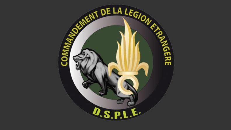 L'insigne DSPLE 