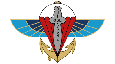 L'insigne vectorisé du 2e RPIMa (base pucelle)