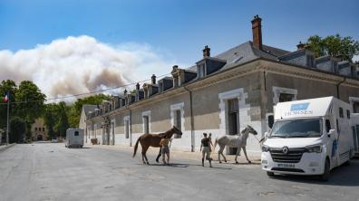 Evacuation du haras